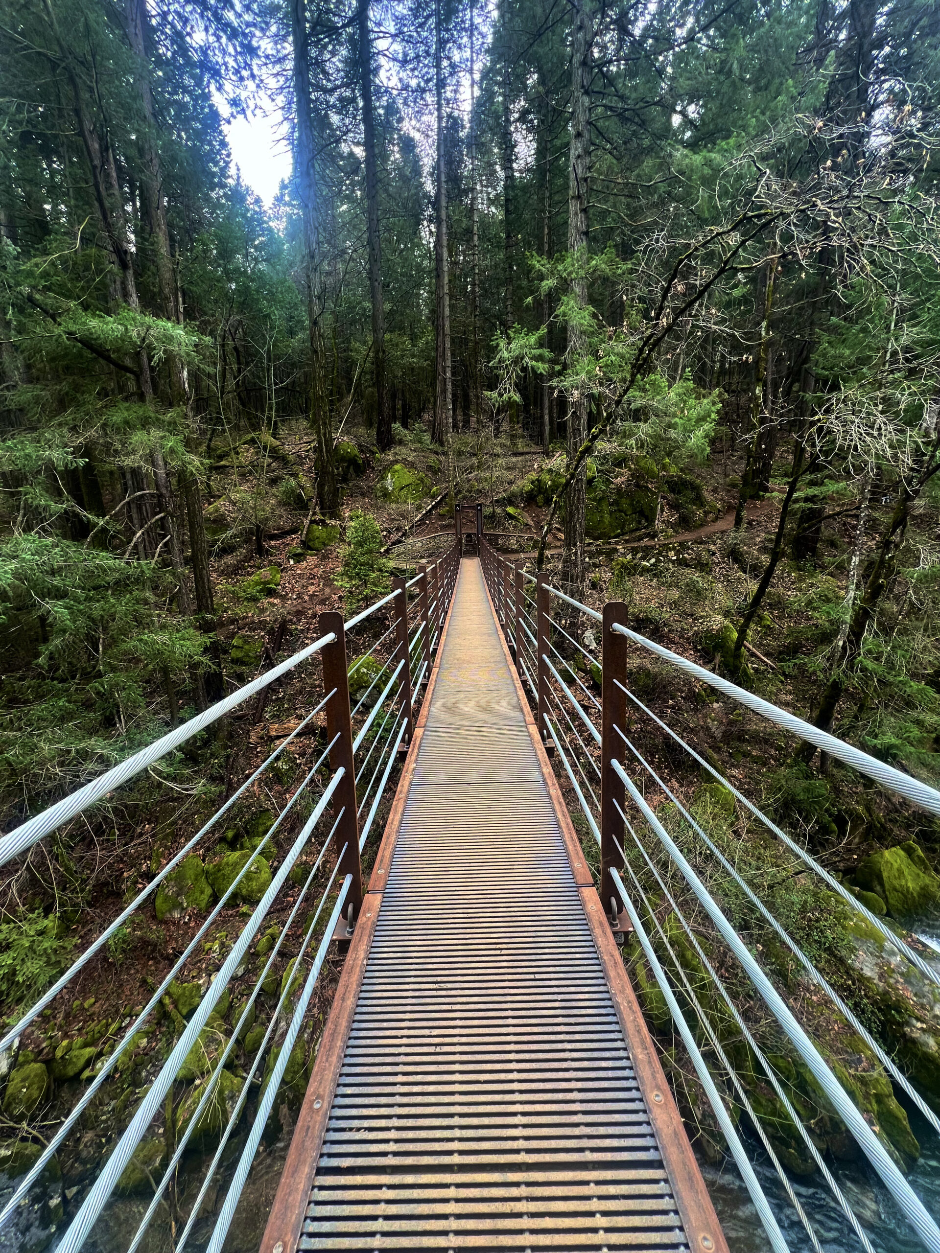 Sierra foothills hiking trail