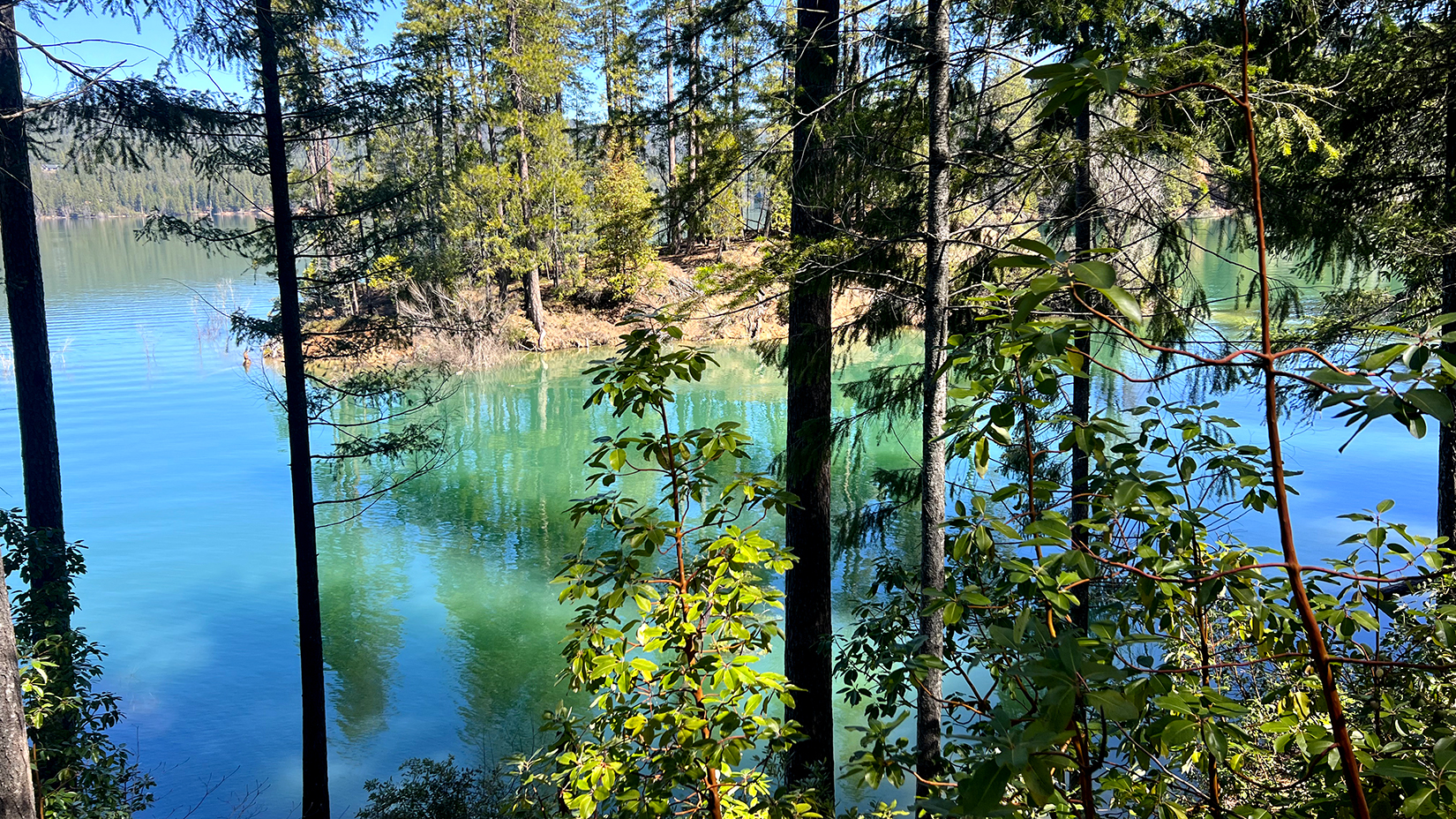 Scotts Flat Lake